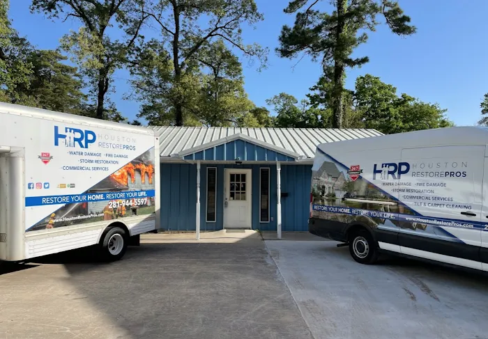 Houston Pros Picture 3