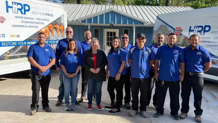 Houston Pros Picture 2