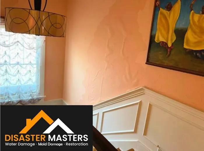 Disaster Masters SW Picture 1