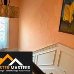 Disaster Masters SW