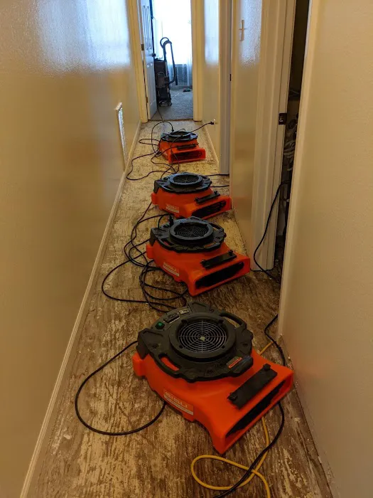 Disaster Masters SW Picture 6