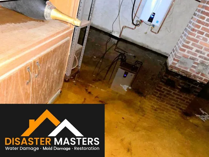 Disaster Masters SW Picture 7