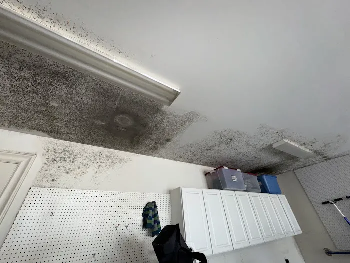 Pinnacle Disaster & Recovery Services Picture 4