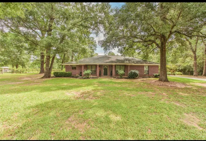 Theisswood Water Damage Response Spring Picture 2