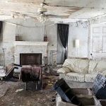 Theisswood Water Damage Response Spring