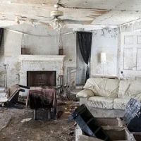 Theisswood Water Damage Response Spring ico