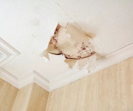 Predator restoration