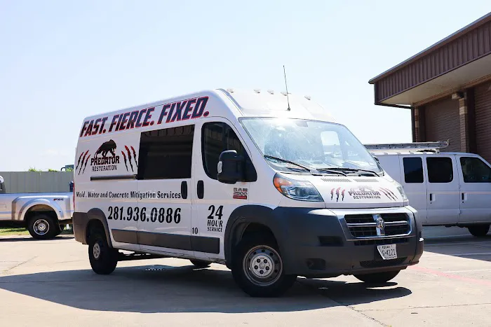 Predator restoration Picture 7