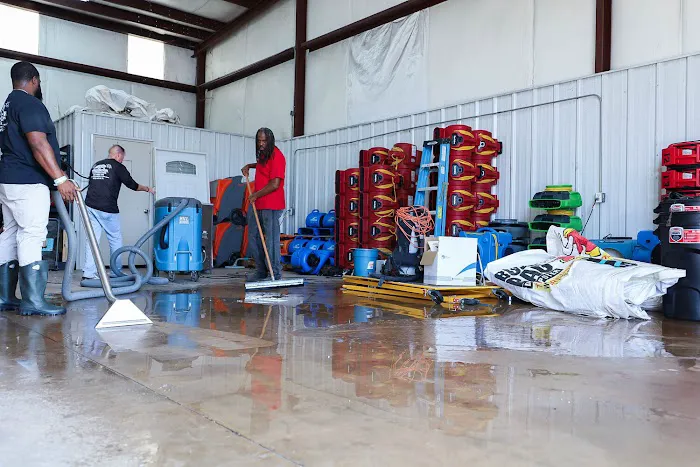 Predator restoration Picture 9