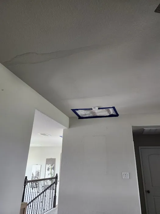 Roadrunner Restoration Picture 6