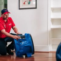 Rainbow International of The Woodlands ico