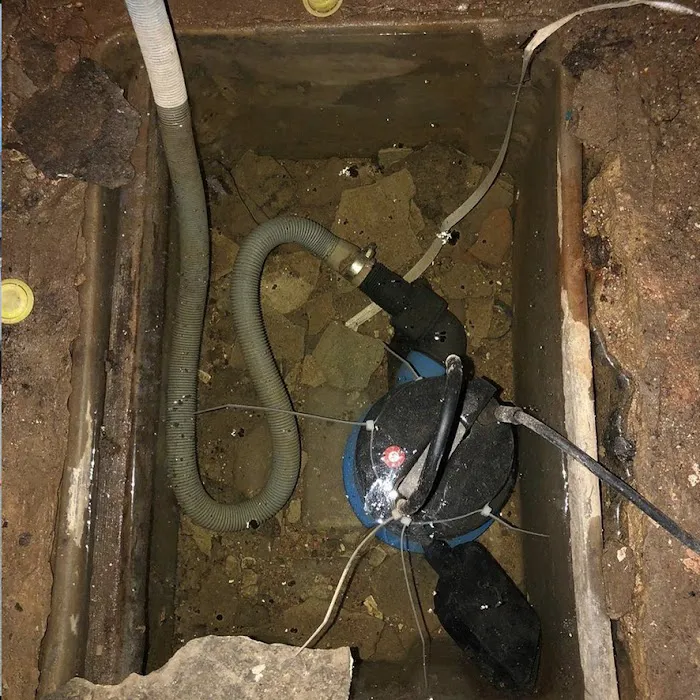 Eco Water Damage Restoration Spring Picture 8