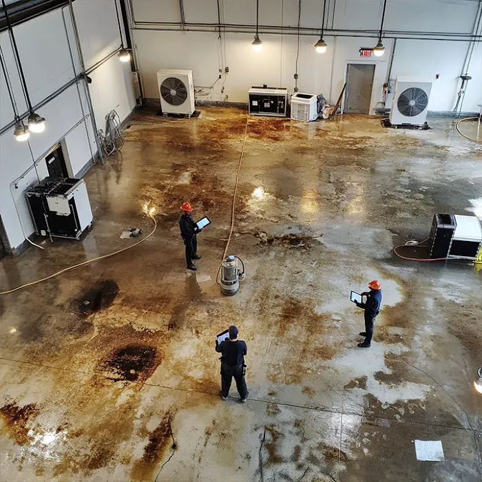 Eco Water Damage Restoration Spring Picture 6