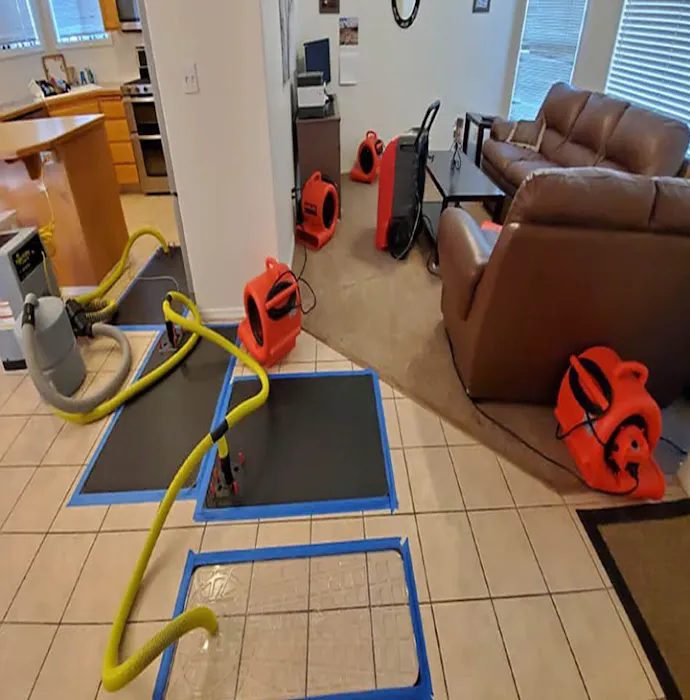 Eco Water Damage Restoration Spring Picture 9