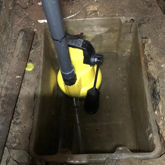 Eco Water Damage Restoration Spring Picture 10