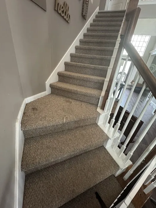 Steam Commander | Houston Carpet Cleaning Company Picture 2