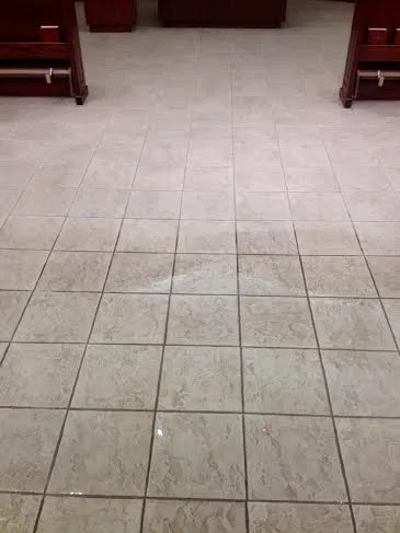 Steam Commander | Houston Carpet Cleaning Company Picture 5