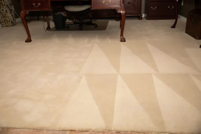 Steam Commander | Houston Carpet Cleaning Company Picture 6
