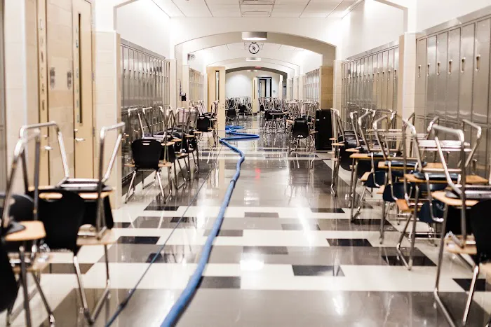 Steam Commander | Houston Carpet Cleaning Company Picture 1