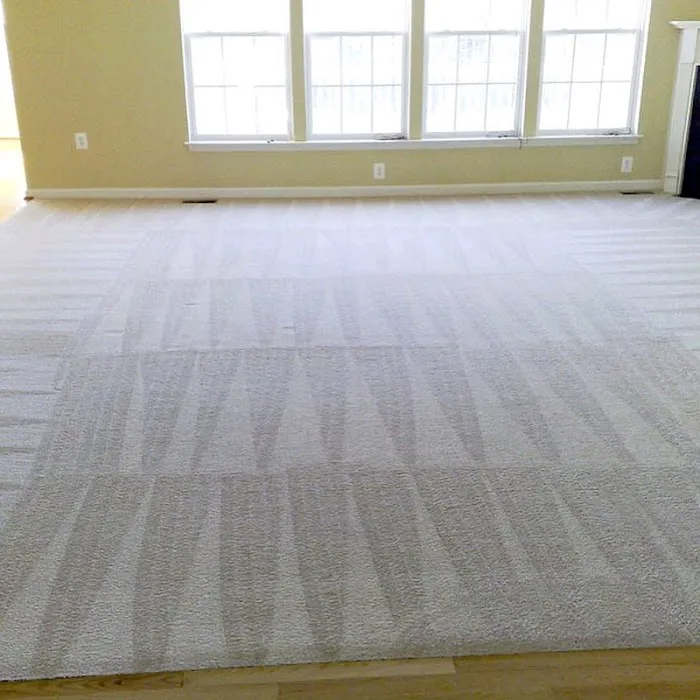 Safe-Dry Carpet Cleaning of Cypress Picture 6