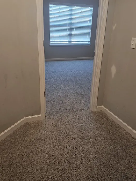 Safe-Dry Carpet Cleaning of Cypress Picture 8