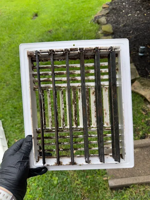 Team Home Solutions Picture 3