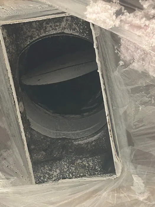 ServiceMaster Restoration by Professional Services Houston Picture 1