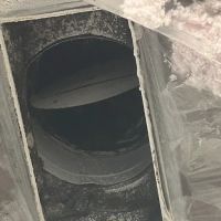 ServiceMaster Restoration by Professional Services Houston ico