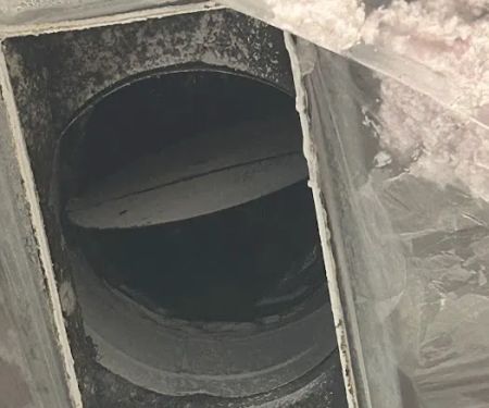 ServiceMaster Restoration by Professional Services Houston