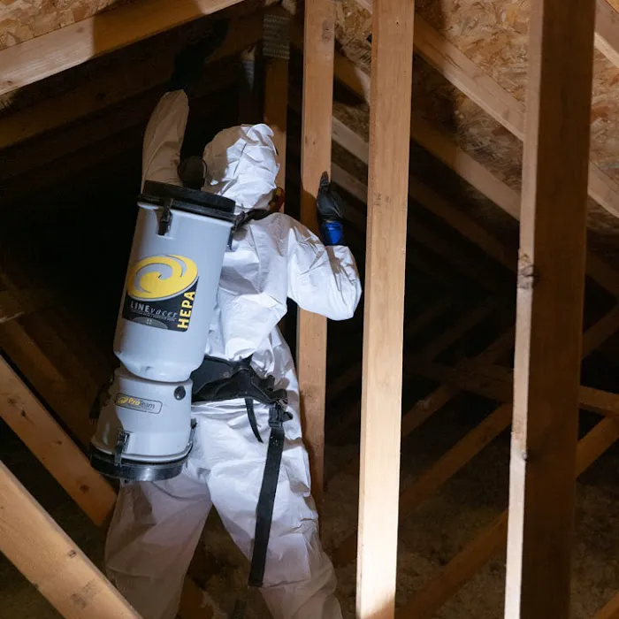 AdvantaClean of Houston West Picture 3