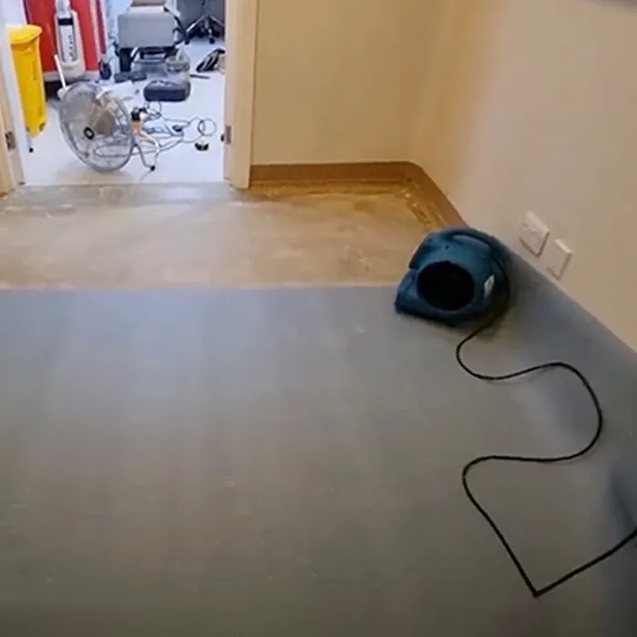 EcoDry Water Damage Restoration Houston Picture 10