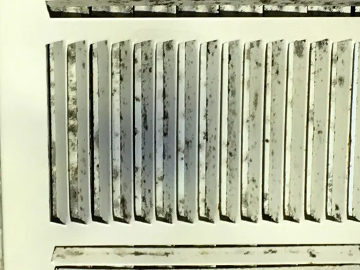 Reliant Mold Testing Picture 8