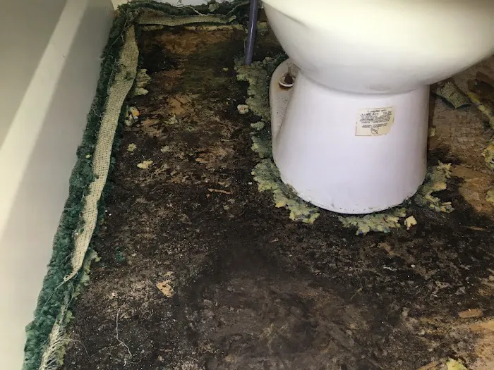 Reliant Mold Testing Picture 6