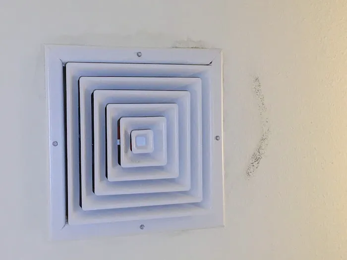 Reliant Mold Testing Picture 9