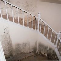 Reliant Mold Testing ico