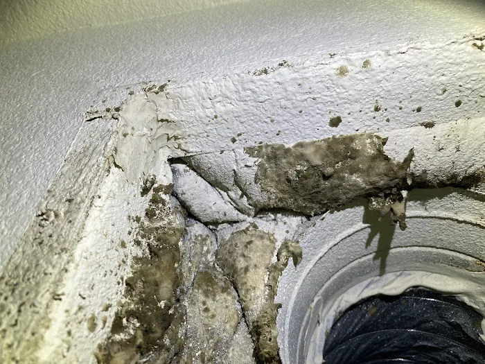 Reliant Mold Testing Picture 4