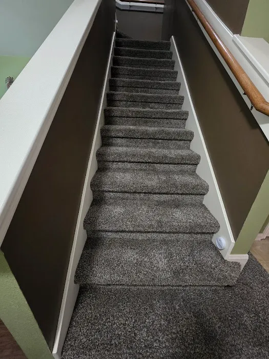 Stanley Steemer Picture 4