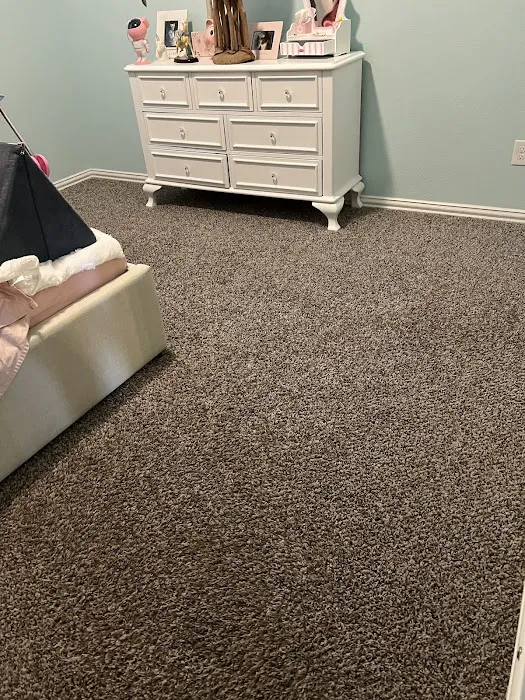 Stanley Steemer Picture 1