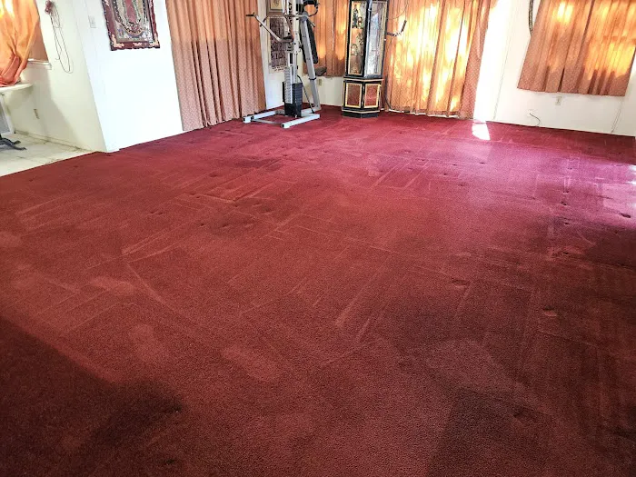 Stanley Steemer Picture 2