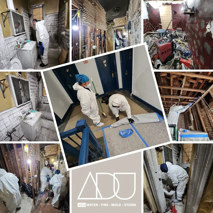 ADU Water Fire Mold Storm Picture 3