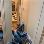 Dry Force Water Removal Specialists