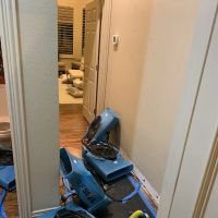 Dry Force Water Removal Specialists ico