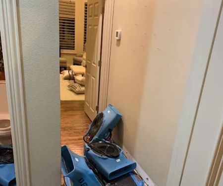 Dry Force Water Removal Specialists