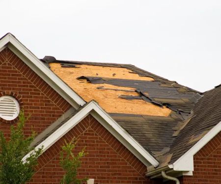 Elite Disaster Restoration