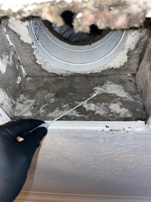 Mold Testing Houston- The Woodlands Picture 9