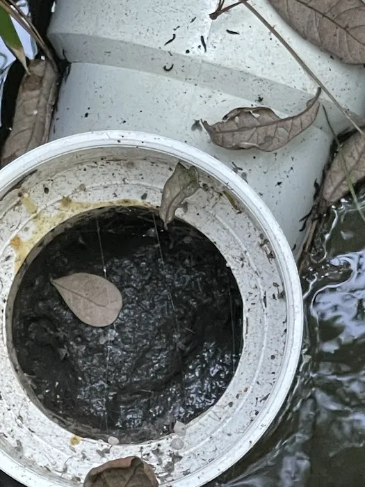 Flood Masters The Woodlands Picture 1