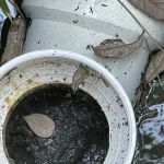 Flood Masters The Woodlands