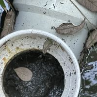 Flood Masters The Woodlands ico