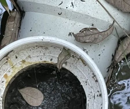 Flood Masters The Woodlands