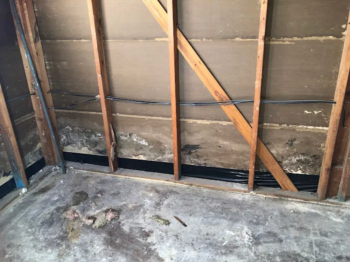 Reliant Mold Testing & Inspections Picture 1